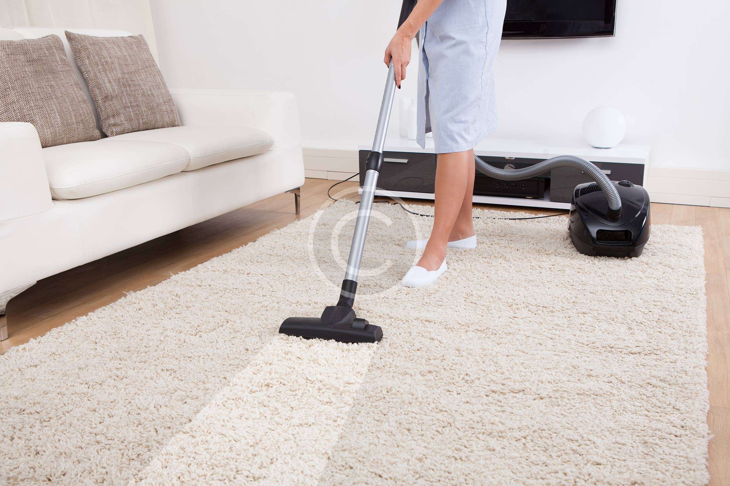 A woman using a carpet cleaner to clean a rug.